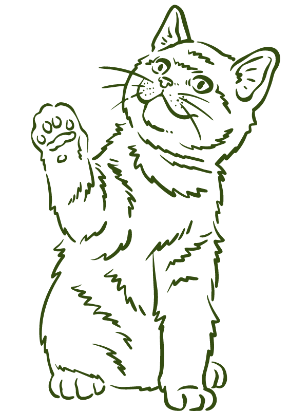 A green drawing of cat 