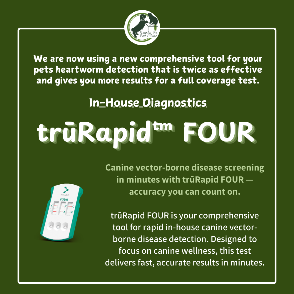 truRapid Four popup
